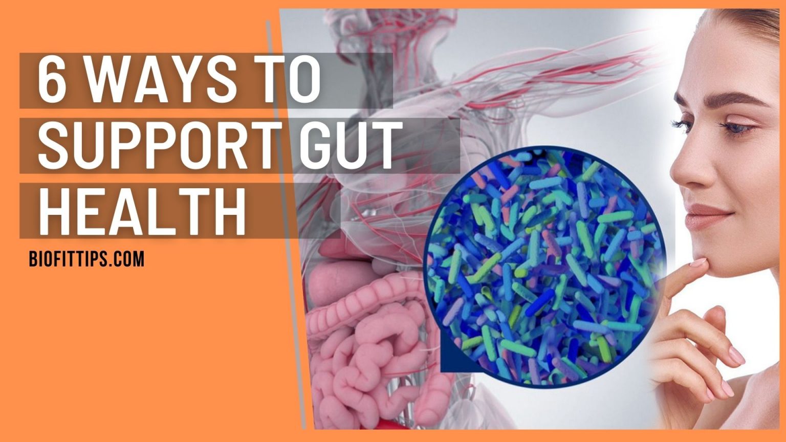 The Gut Microbiome And The Immune System - BioFitTips