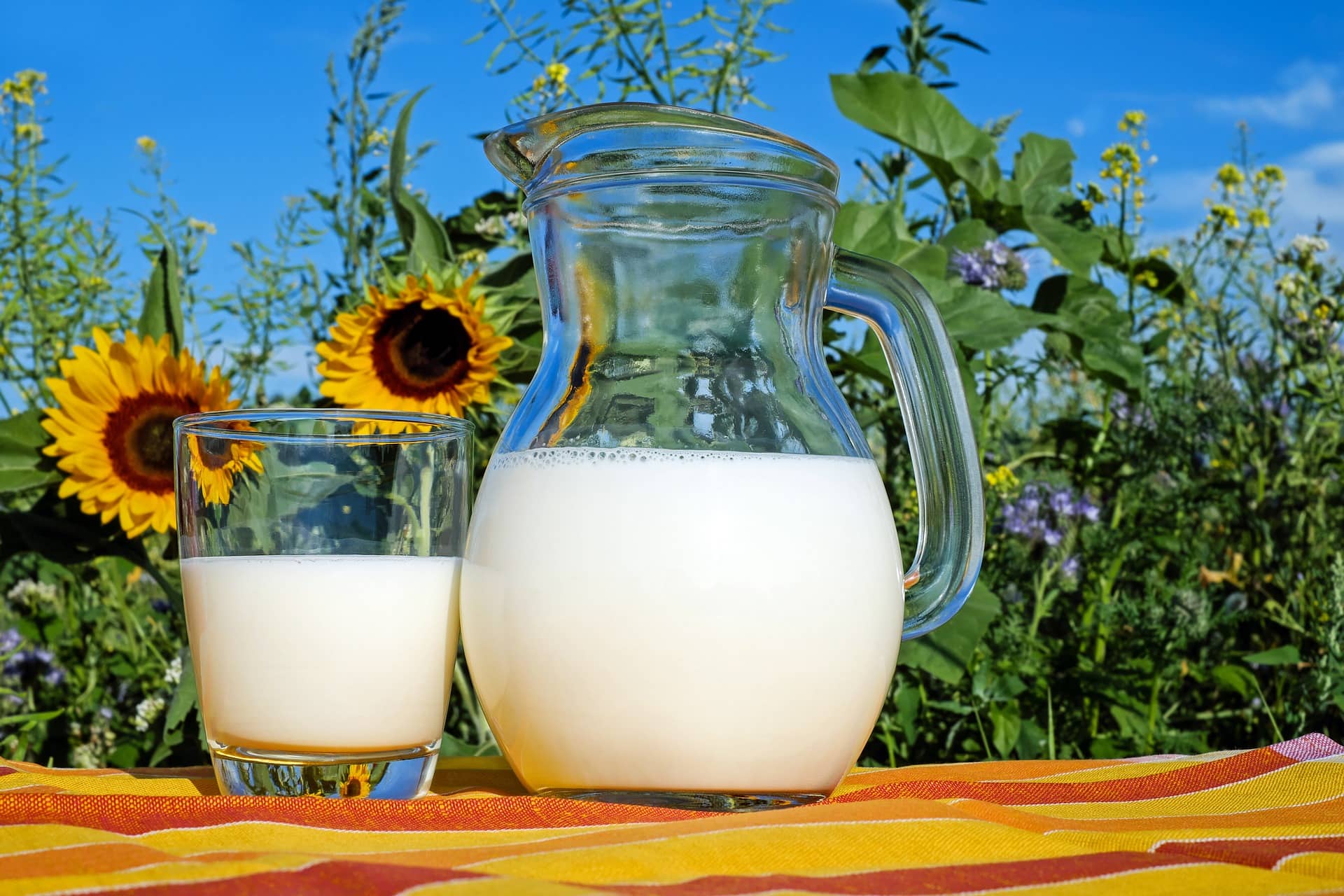 does-milk-actually-make-your-bones-stronger-biofittips