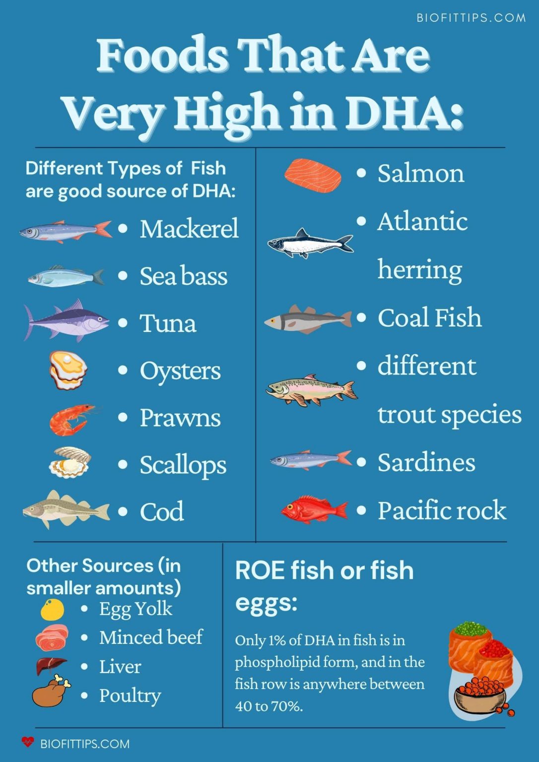 What Foods Have DHA | How Much Of It During Pregnancy? - BioFitTips